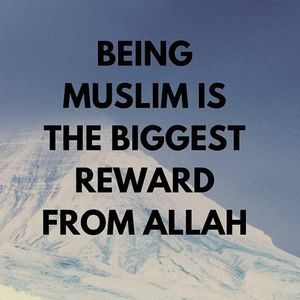 Meet your Posher, Alagie